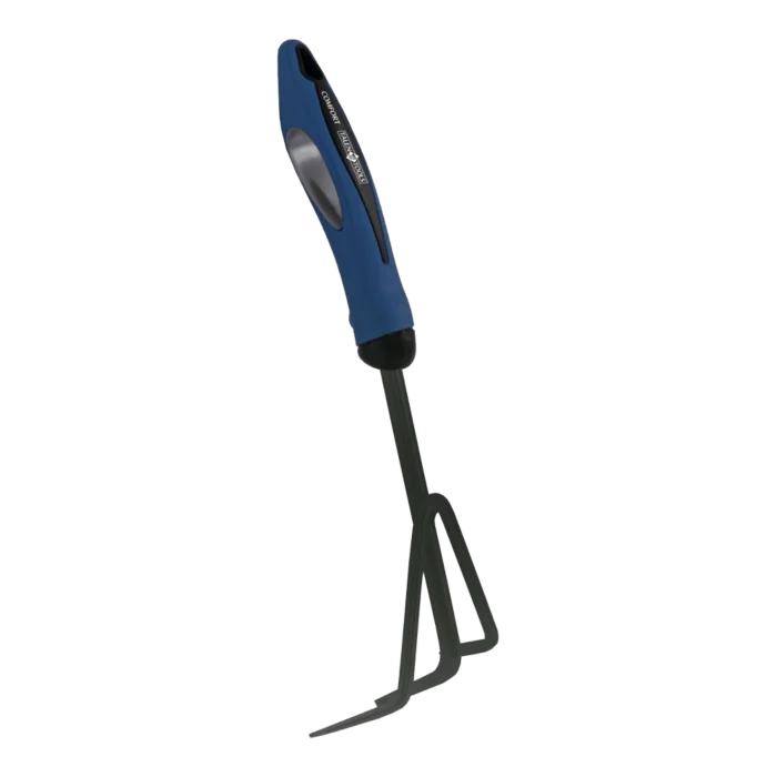 biezen-3792731