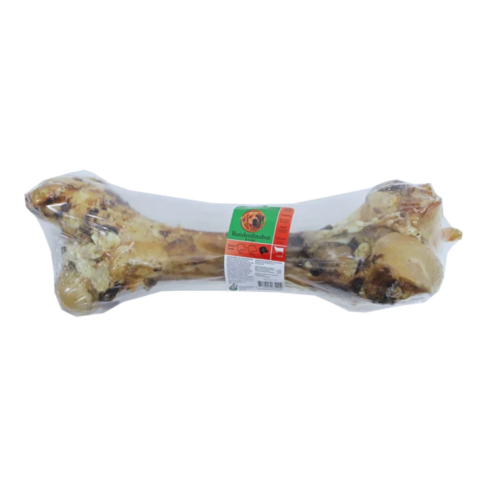 biezen-3793421