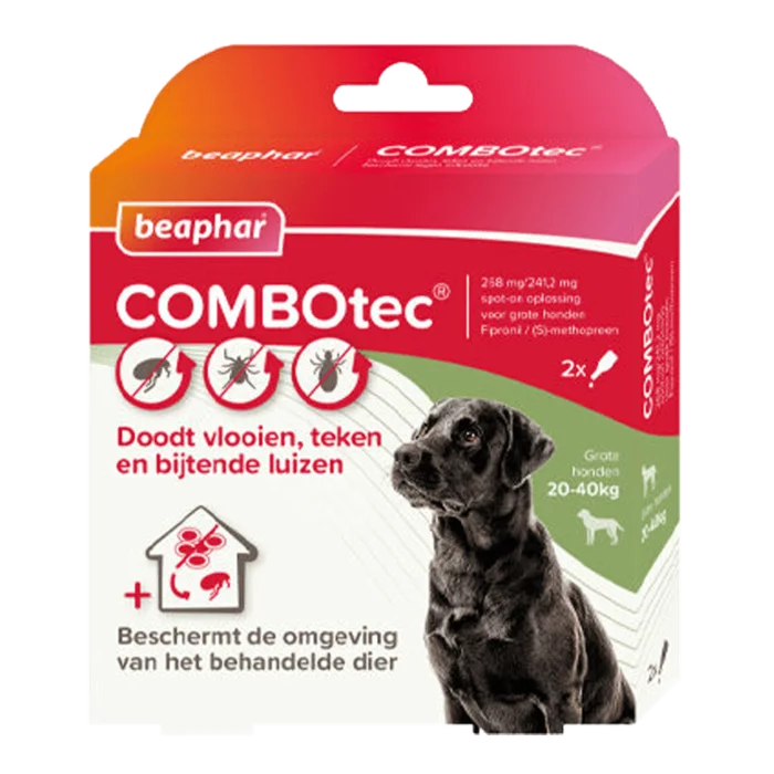 biezen-3794482