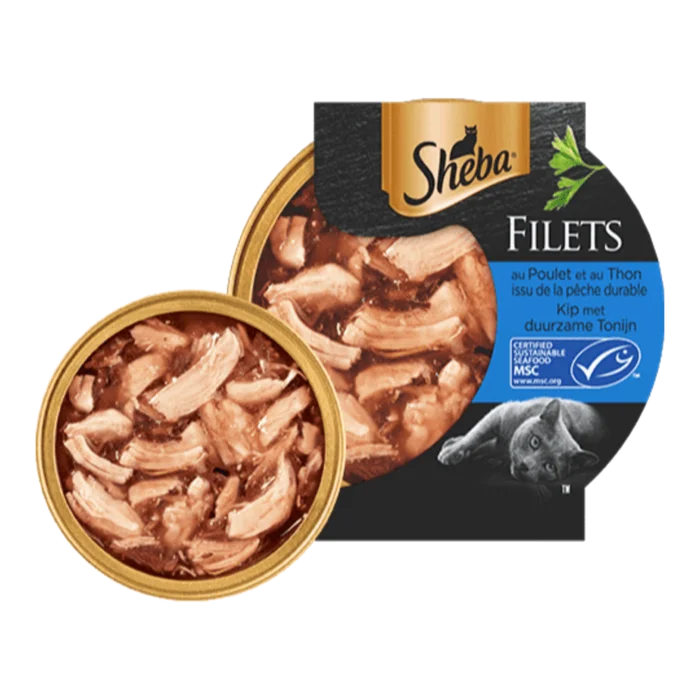 biezen-3794582