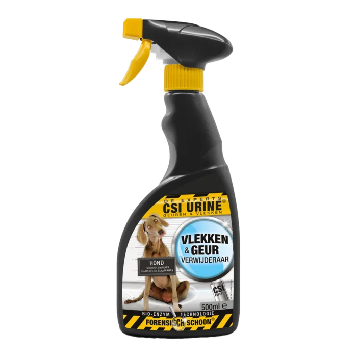 biezen-3794793