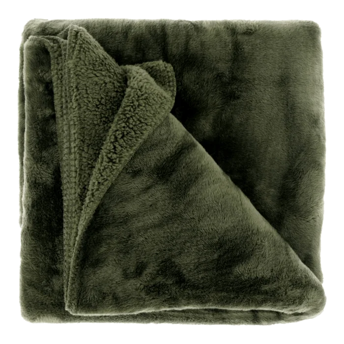 biezen-3795444