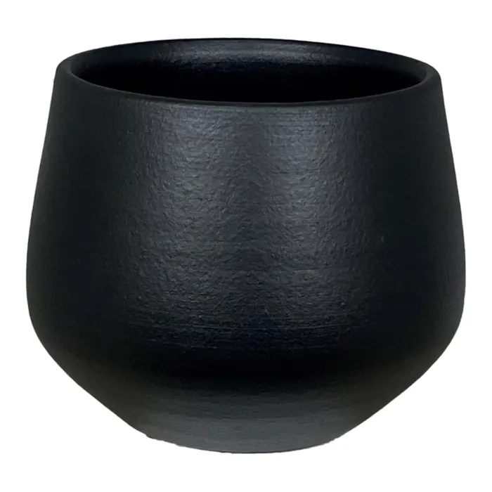 biezen-3795499