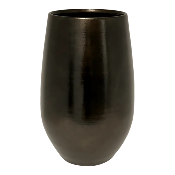 biezen-3795595