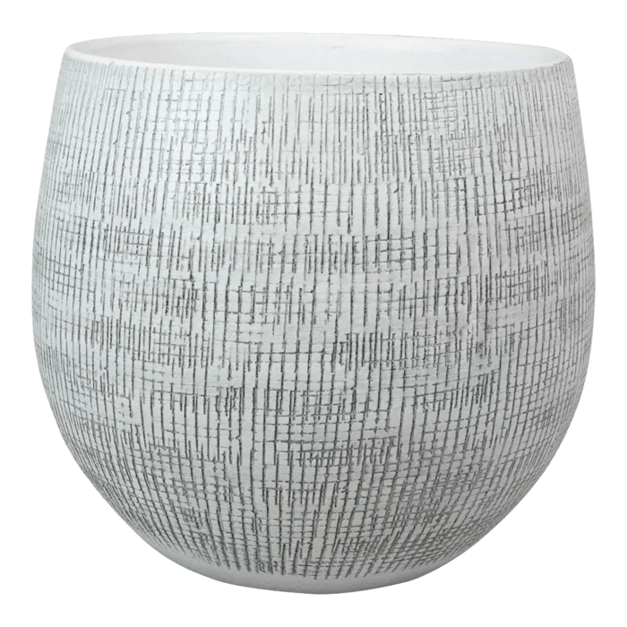 biezen-3796185