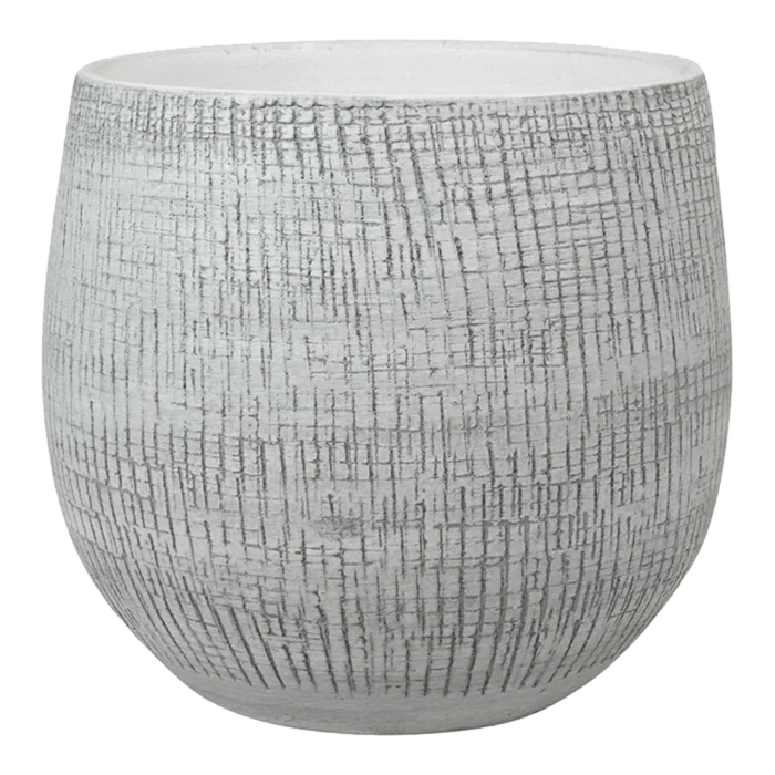 biezen-3796202