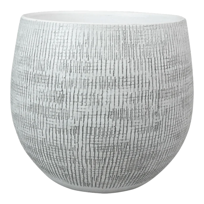 biezen-3796206