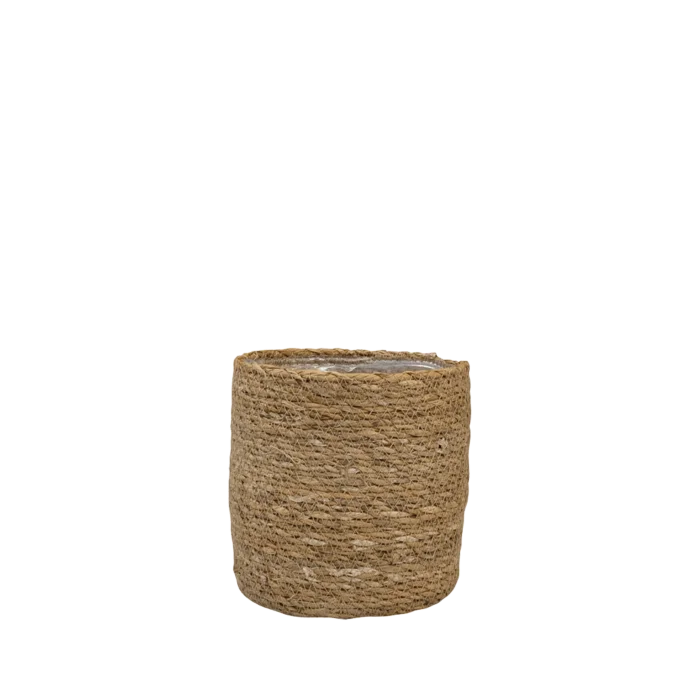 biezen-3796234
