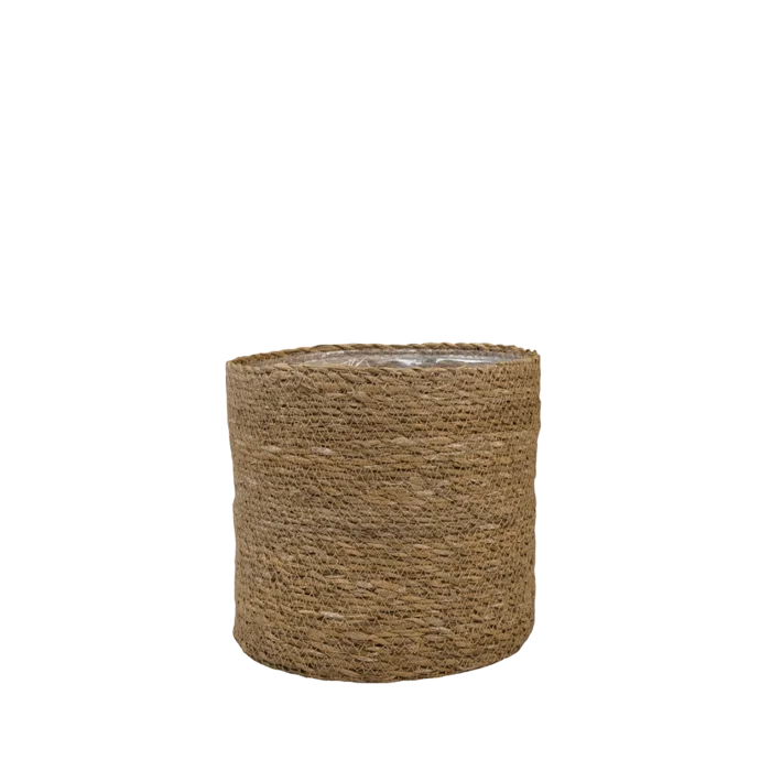 biezen-3796237