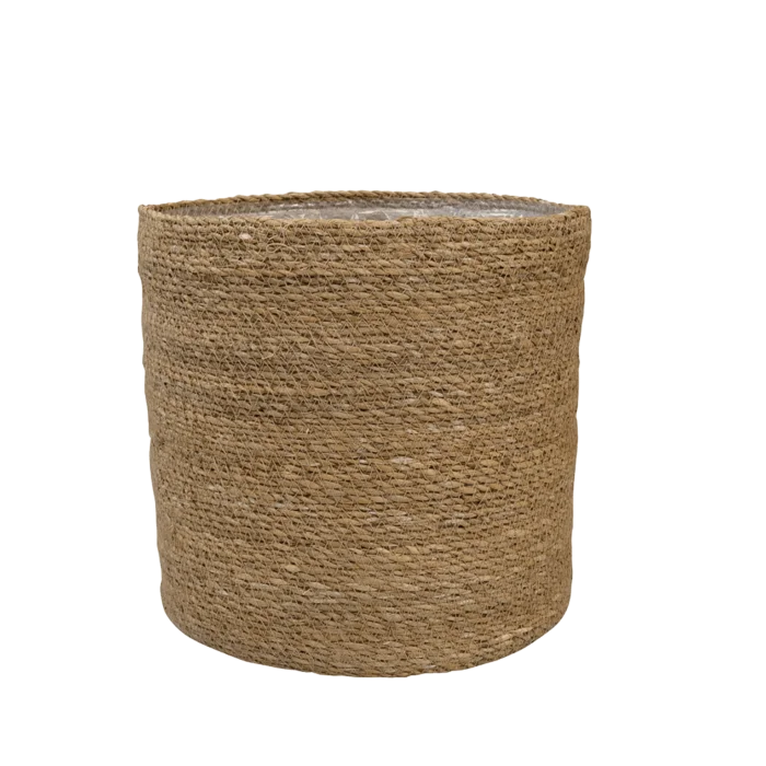 biezen-3796240