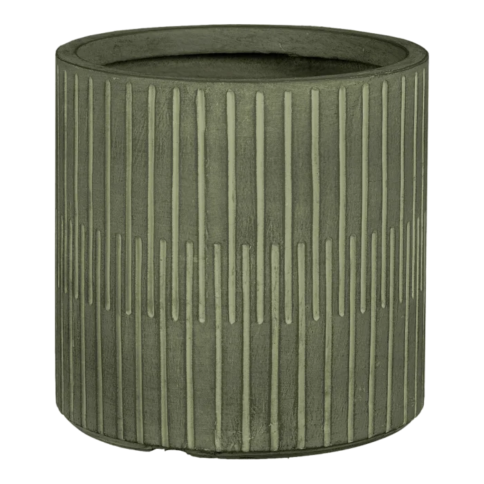 biezen-3796419