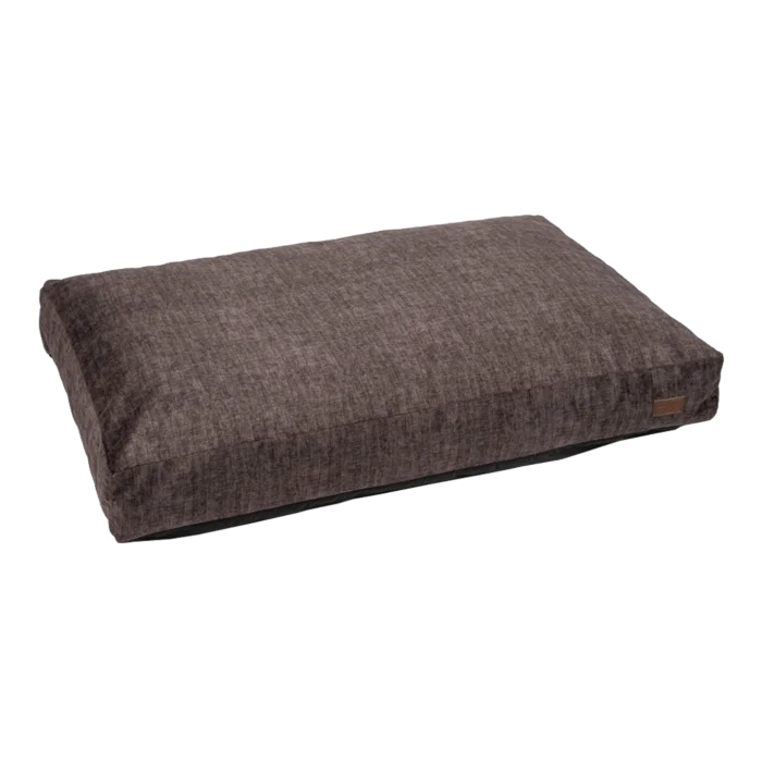 biezen-3796563