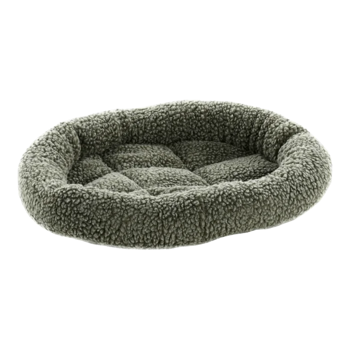 biezen-3796824