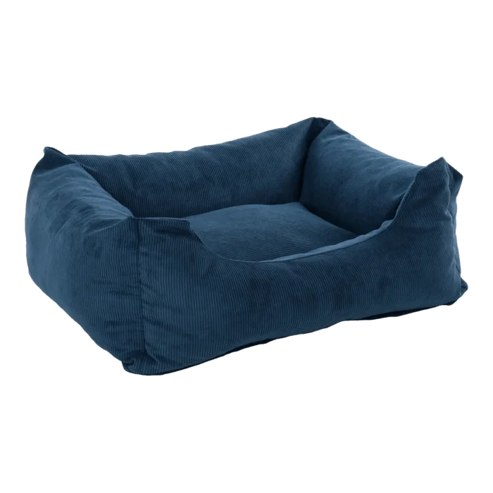 biezen-3796874