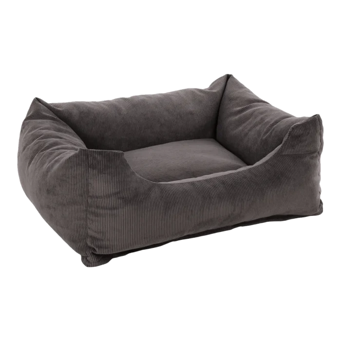 biezen-3796878
