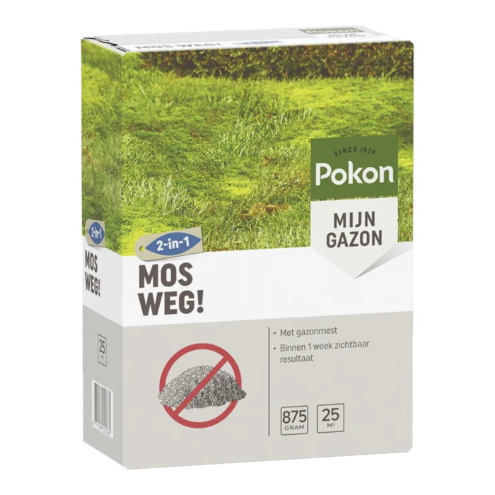 biezen-3797618