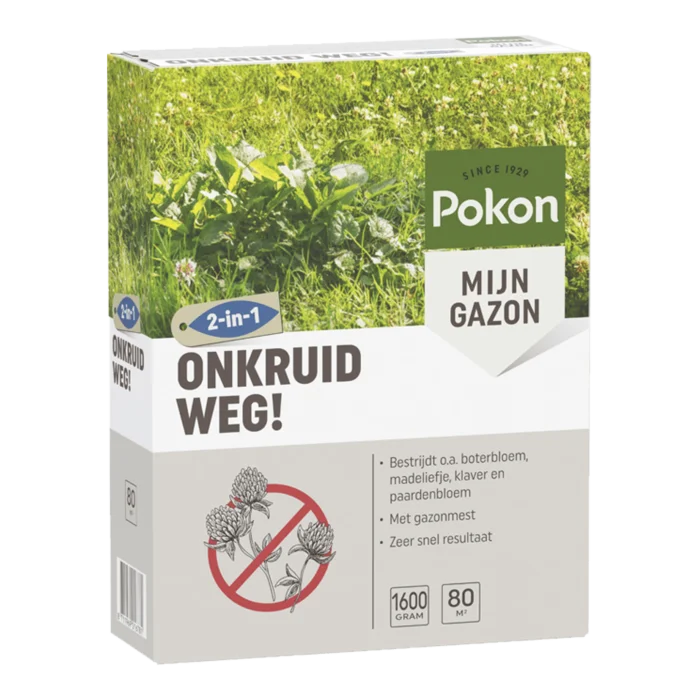 biezen-3797661