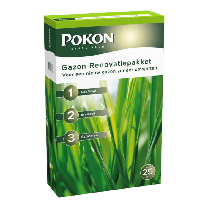 biezen-3797670