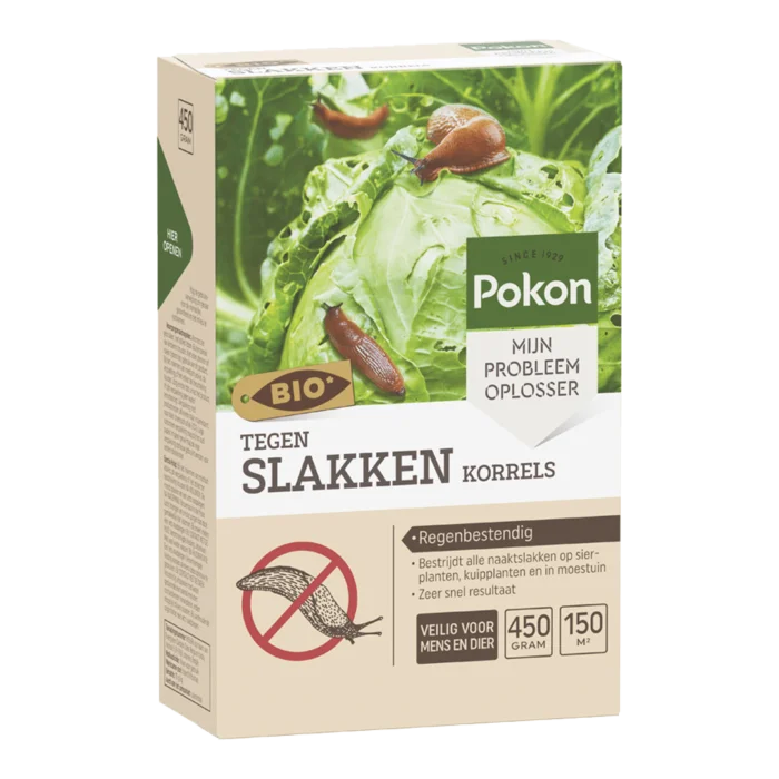 biezen-3797727