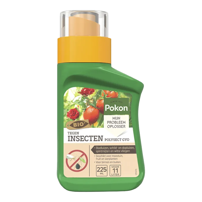 biezen-3797734