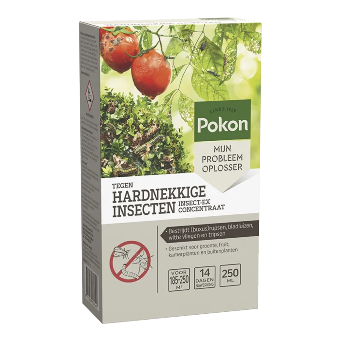 biezen-3797746
