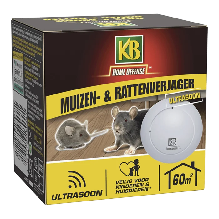 biezen-3797845