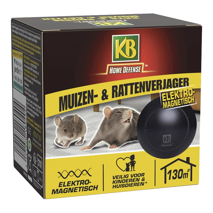 biezen-3797848