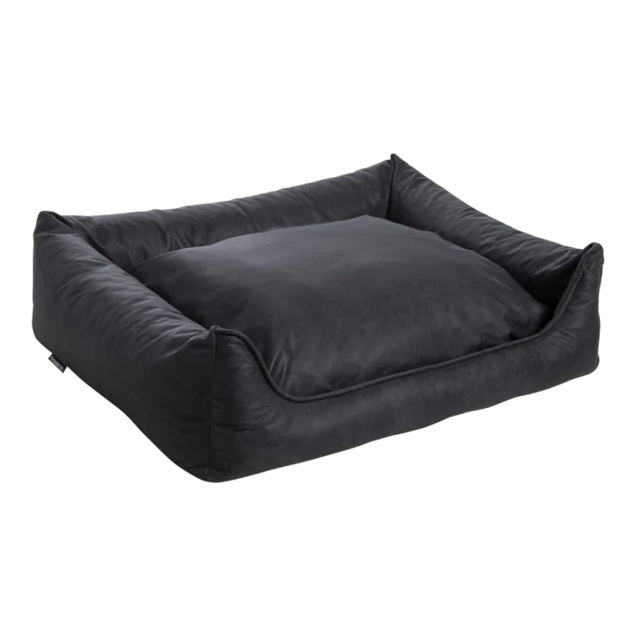biezen-3798305
