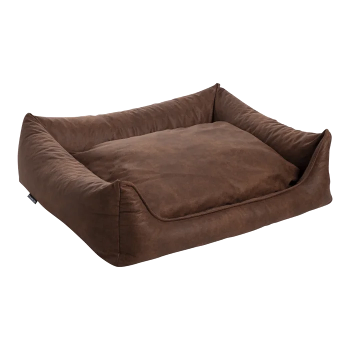 biezen-3798315