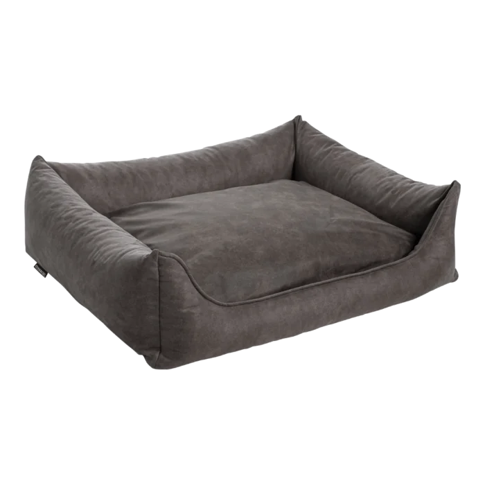 biezen-3798329