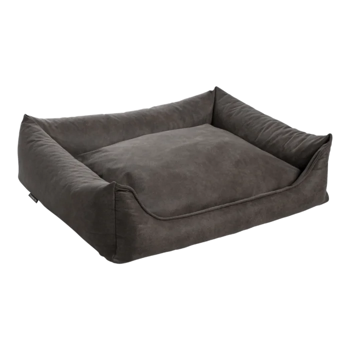 biezen-3798344
