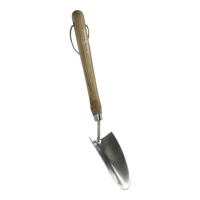 biezen-3798438