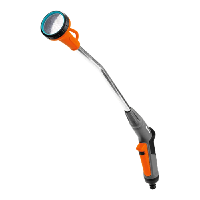 biezen-3798548