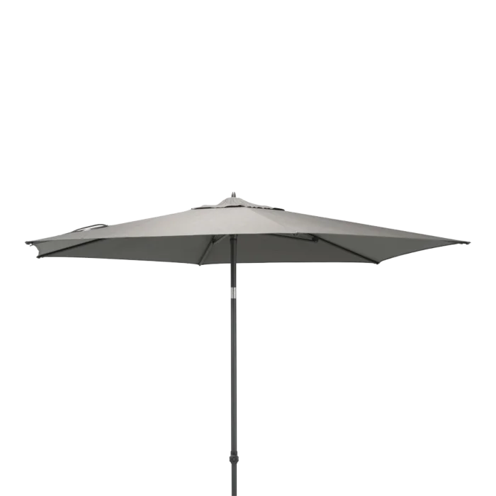 biezen-3798633