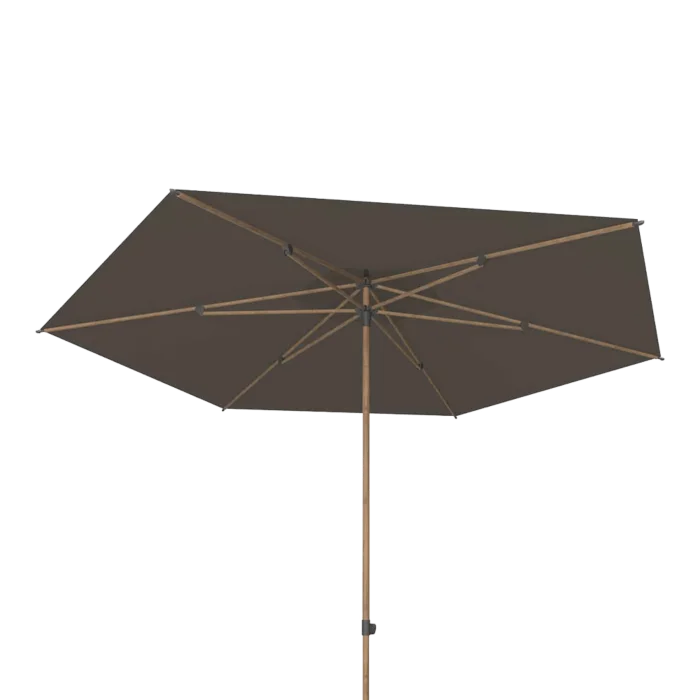 biezen-3798640