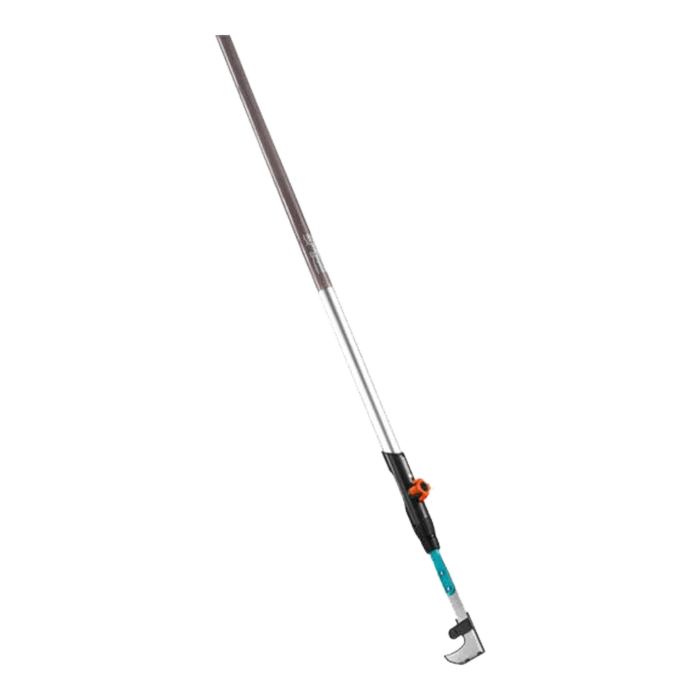 biezen-3798683