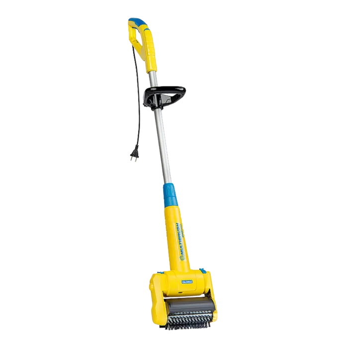 biezen-3798761