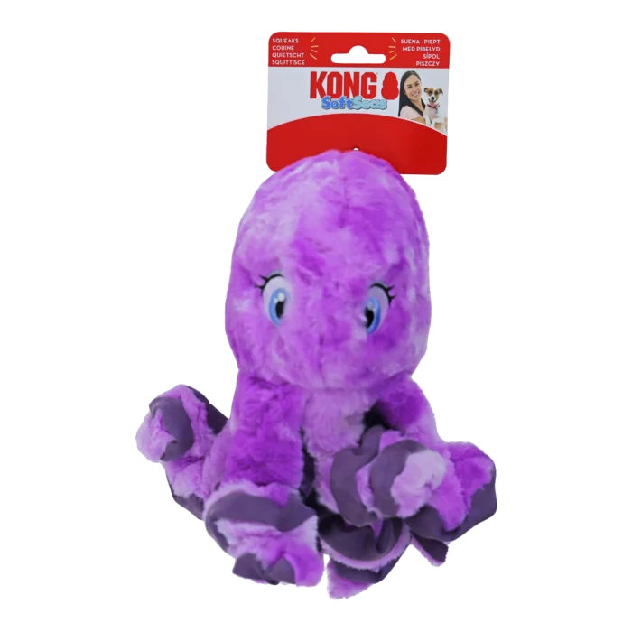 biezen-3798959