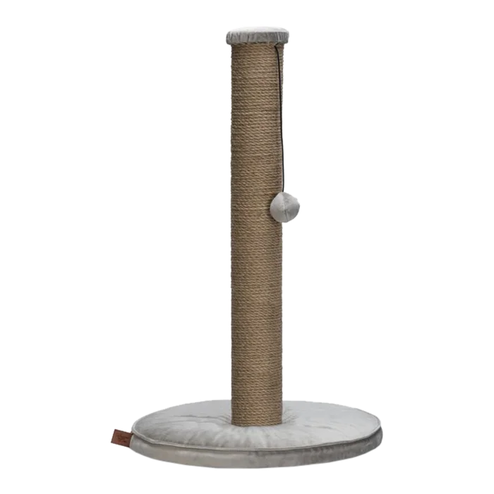 biezen-3799267