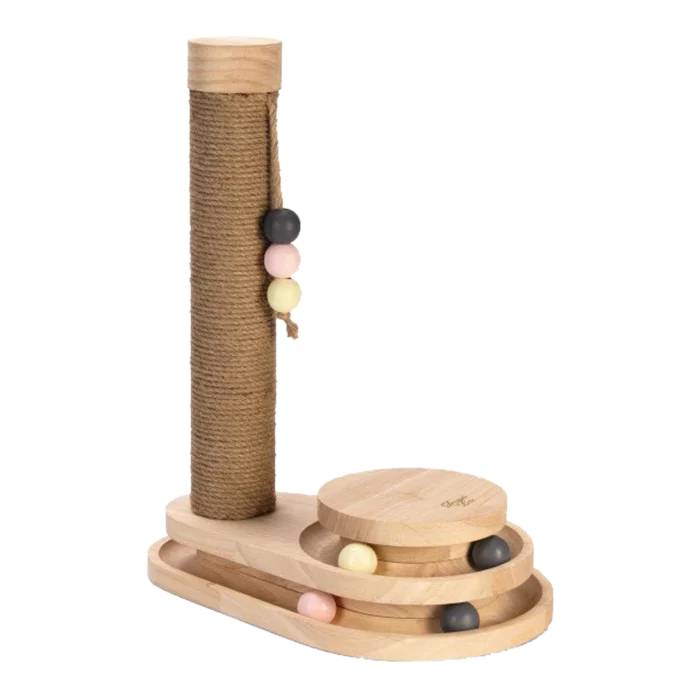 biezen-3799271