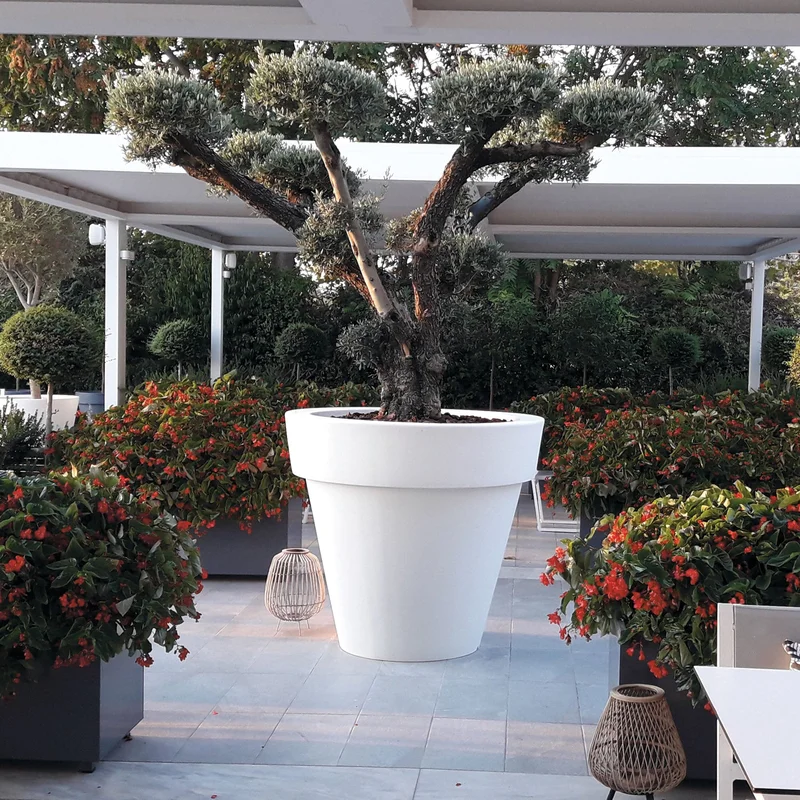 designitaly3474680