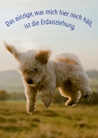 duft-und-deko-art-3509947