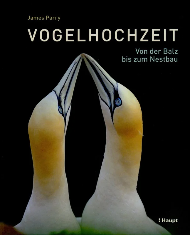 fischers-lagerhaus-3516792