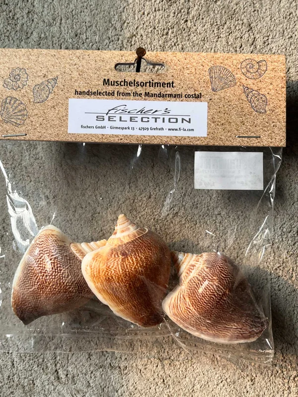 fischers-lagerhaus-3527795