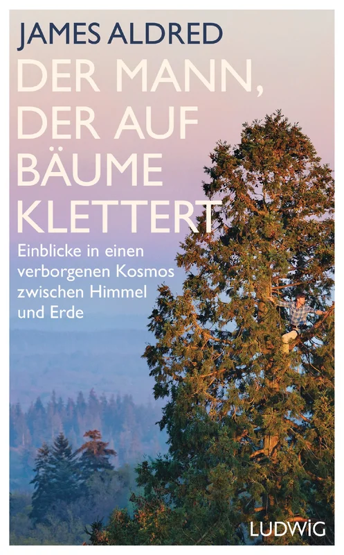 fischers-lagerhaus-3530098