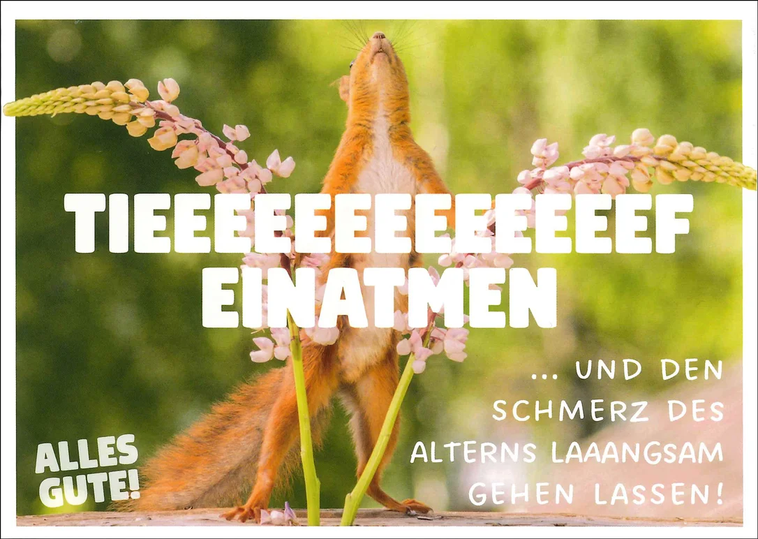 fischers-lagerhaus-3536604