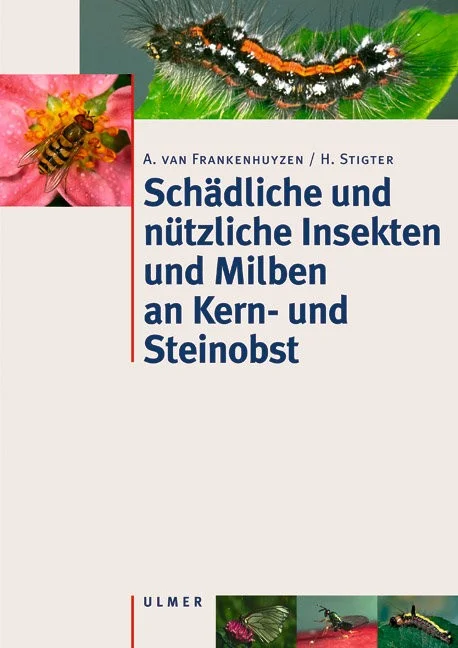 fischers-lagerhaus-3540484