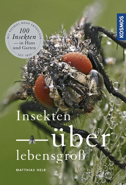 fischers-lagerhaus-3540541
