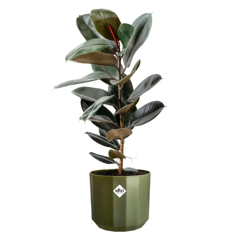 gartencenterleurs-3501662