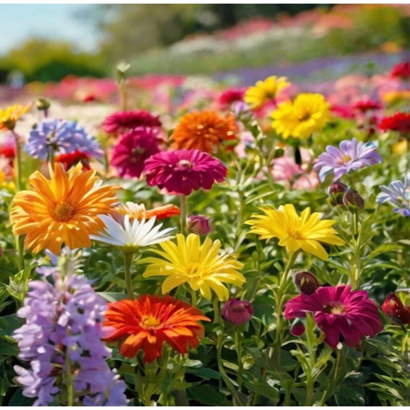 gartencenterleurs-3502253